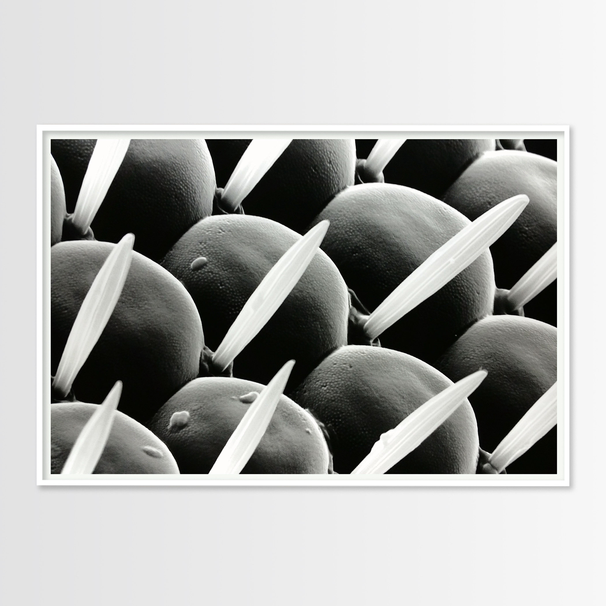 plakater-posters-kunsttryk, fotografier, giclee-tryk, abstrakte, grafiske, landskab, minimalistiske, monokrome, dyreliv, botanik, mønstre, mennesker, teknologi, sorte, grå, hvide, blæk, papir, abstrakte-former, interiør, bolig-indretning, plakater, Køb original kunst og kunstplakater. Malerier, tegninger, limited edition kunsttryk & plakater af dygtige kunstnere.
