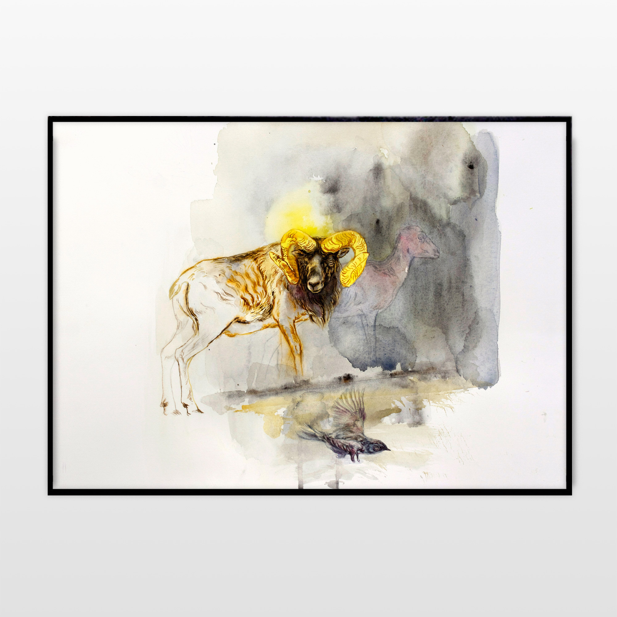 plakater-posters-kunsttryk, giclee-tryk, æstetiske, illustrative, landskab, dyreliv, natur, himmel, vilde-dyr, hvide, gule, blæk, papir, smukke, fugle, samtidskunst, dansk, dekorative, design, interiør, bolig-indretning, moderne, moderne-kunst, vilde-dyr, Køb original kunst og kunstplakater. Malerier, tegninger, limited edition kunsttryk & plakater af dygtige kunstnere.