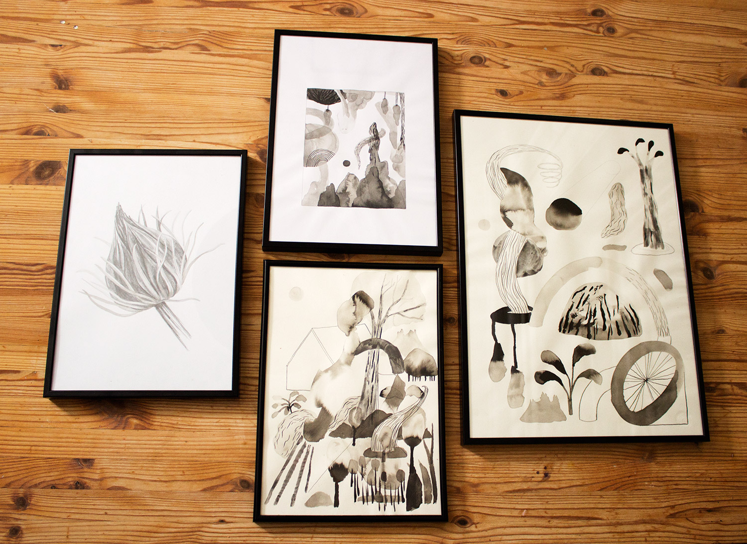 Natur IV | Tegninger | Emilie Aastrup | Beauton Art Gallery tegninger, æstetiske, børnevenlige, figurative, landskab, monokrome, botanik, sorte, hvide, papir, blyant, smukke, sort-hvide, samtidskunst, dansk, dekorative, design, blomster, interiør, bolig-indretning, moderne, moderne-kunst, naturlig, naturealistiske, nordisk, planter, flotte, skandinavisk, Køb original kunst og kunstplakater. Malerier, tegninger, limited edition kunsttryk & plakater af dygtige kunstnere.