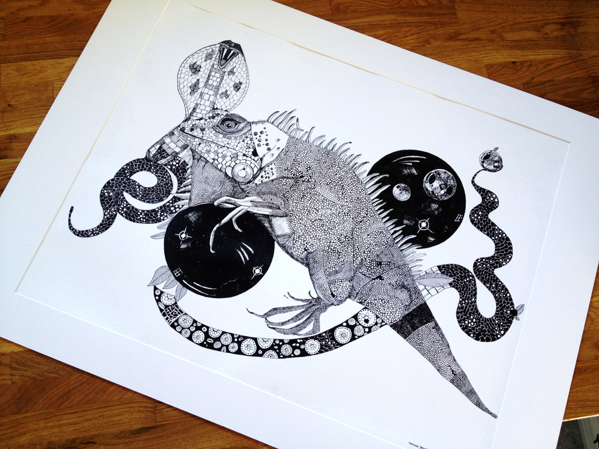 Leguan og Slangetegn. En illustration af kunstner Marianne Stenberg.