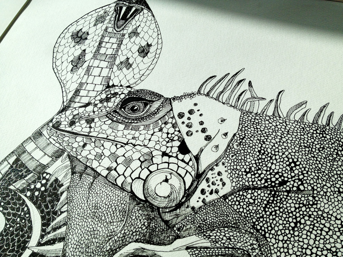 Leguan og Slangetegn. En illustration af kunstner Marianne Stenberg.