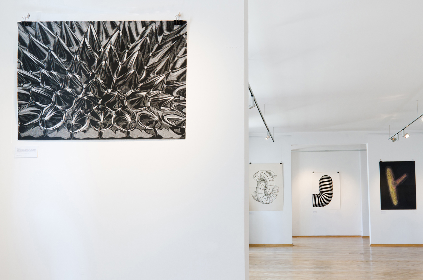 Ferrofluid - 70 x 100 cm. Limited edition linoleumstryk af Marta Banaszak FERROFLUID linocut_Doctorate Degree exhibition
