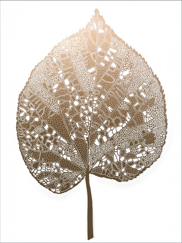 Giant Leaf (Hvid/Guld) | Plakater-posters-kunsttryk, Linoleumstryk | Monika Petersen | Beauton Art Gallery plakater-posters-kunsttryk, linoleumstryk, æstetiske, figurative, grafiske, illustrative, monokrome, still-life, botanik, natur, mønstre, guld, hvide, akryl, papir, smukke, dansk, dekorative, design, blomster, interiør, bolig-indretning, nordisk, planter, plakater, flotte, tryk, skandinavisk, Køb original kunst og kunstplakater. Malerier, tegninger, limited edition kunsttryk & plakater af dygtige kunstnere.