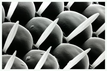 Science III | Plakater-posters-kunsttryk, Fotografier, Giclee-tryk | AOAM | 61 x 91 cm / 24 x 34Gicleé printEpson matte 180 gsm.Signeret af kunstneren | Beauton Art Gallery plakater-posters-kunsttryk, fotografier, giclee-tryk, abstrakte, grafiske, landskab, minimalistiske, monokrome, dyreliv, botanik, mønstre, mennesker, teknologi, sorte, grå, hvide, blæk, papir, abstrakte-former, interiør, bolig-indretning, plakater, Køb original kunst og kunstplakater. Malerier, tegninger, limited edition kunsttryk & plakater af dygtige kunstnere.