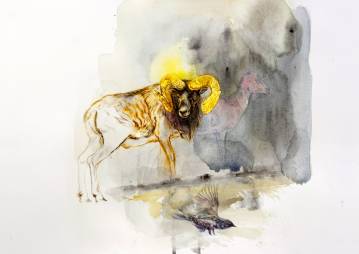 Muflon og Spurv | Plakater-posters-kunsttryk, Giclee-tryk | Louise Bech Pedersen | Beauton Art Gallery plakater-posters-kunsttryk, giclee-tryk, æstetiske, illustrative, landskab, dyreliv, botanik, natur, vilde-dyr, brune, grå, gule, blæk, papir, efterår, smukke, samtidskunst, dansk, dekorative, design, interiør, bolig-indretning, moderne-kunst, motorcykel, nordisk, skandinavisk, Køb original kunst og kunstplakater. Malerier, tegninger, limited edition kunsttryk & plakater af dygtige kunstnere.
