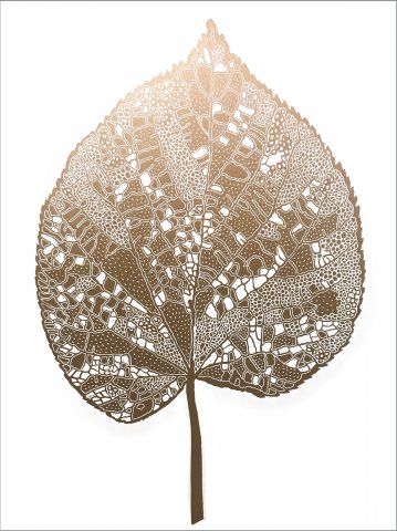 plakater-posters-kunsttryk, linoleumstryk, æstetiske, figurative, grafiske, illustrative, monokrome, still-life, botanik, natur, mønstre, guld, hvide, akryl, papir, smukke, dansk, dekorative, design, blomster, interiør, bolig-indretning, nordisk, planter, plakater, flotte, tryk, skandinavisk, Køb original kunst og kunstplakater. Malerier, tegninger, limited edition kunsttryk & plakater af dygtige kunstnere.