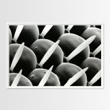 plakater-posters-kunsttryk, fotografier, giclee-tryk, abstrakte, grafiske, landskab, minimalistiske, monokrome, dyreliv, botanik, mønstre, mennesker, teknologi, sorte, grå, hvide, blæk, papir, abstrakte-former, interiør, bolig-indretning, plakater, Køb original kunst og kunstplakater. Malerier, tegninger, limited edition kunsttryk & plakater af dygtige kunstnere.
