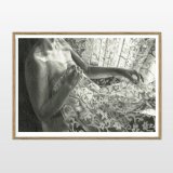 plakater-posters-kunsttryk, giclee-tryk, æstetiske, figurative, illustrative, monokrome, portræt, kroppe, botanik, mønstre, mennesker, sorte, grå, hvide, blæk, papir, smukke, sort-hvide, samtidskunst, dekorative, design, interiør, moderne, moderne-kunst, kvinder, Køb original kunst og kunstplakater. Malerier, tegninger, limited edition kunsttryk & plakater af dygtige kunstnere.