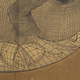 CHICKEN linocut_detail