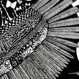 illustrationer. ørn, indianer, fugle Udtryksfuldt moderne kunst. dyr. talentfulde kunstnere, online kunstgalleri.