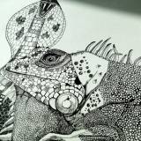 Leguan og Slangetegn. En illustration af kunstner Marianne Stenberg.