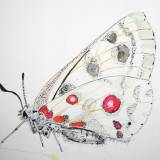 illustrationer. Udtryksfuldt moderne kunst. dyr. talentfulde kunstnere, online kunstgalleri.