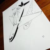 fly, koala bjørn, illustrationer og tegninger, kunst, kunstgalleri, galleri, sjov tegning, street art, pop kultur, inspiration,
