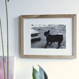 plakater-posters-kunsttryk, fotografier, ekspressionistiske, figurative, monokrome, portræt, dyreliv, hverdagsliv, humor, bevægelse, kæledyr, beige, sorte, fotos, sjove, sort-hvide, samtidskunst, sød, dag, dekorative, hunde, moderne-kunst, nordisk, udendørs, plakater, flotte, skandinavisk, silhuet, gader, urban, levende, Køb original kunst og kunstplakater. Malerier, tegninger, limited edition kunsttryk & plakater af dygtige kunstnere.