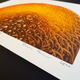 plakater-posters-kunsttryk, linoleumstryk, litografier, indgraveringer, ekspressionistiske, geometriske, grafiske, arkitektur, bevægelse, teknologi, sorte, orange, akryl, papir, abstrakte-former, arkitektoniske, smukke, konceptuel, samtidskunst, københavn, dekorative, design, vandret, interiør, bolig-indretning, moderne, moderne-kunst, symmetri, Køb original kunst og kunstplakater. Malerier, tegninger, limited edition kunsttryk & plakater af dygtige kunstnere.