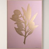 plakater-posters-kunsttryk, linoleumstryk, æstetiske, figurative, grafiske, pop, still-life, botanik, natur, pastel, pink, akryl, blæk, papir, smukke, dansk, dekorative, design, interiør, bolig-indretning, moderne, moderne-kunst, nordisk, planter, skandinavisk, Køb original kunst og kunstplakater. Malerier, tegninger, limited edition kunsttryk & plakater af dygtige kunstnere.