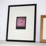 Måger (Serie 2/2) - 9 x 11 cm. Originalfoto i et begrænset oplag på 12 af fotograf og kunstmaler Rafael Guerrero.    Fotografiet er analogt og fremkaldt i hånden af Rafael, og der vil derfor forekomme meget små variationer fra hver kopi.