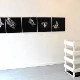 Galleri kunst - Udstilling af kunstfotografi sort hvid fotografi monteret på dibon plade