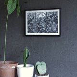 plakater-posters-kunsttryk, fotografier, æstetiske, landskab, monokrome, still-life, botanik, stemninger, natur, årstider, sorte, grå, hvide, fotos, atmosfære, smukke, sort-hvide, samtidskunst, dekorative, bondegård, blomster, skov, vandret, kærlighed, naturlig, naturealistiske, nordisk, udendørs, fotorealistisk, realisme, romantiske, forår, rolige, træer, underlig, vilde, Køb original kunst og kunstplakater. Malerier, tegninger, limited edition kunsttryk & plakater af dygtige kunstnere.