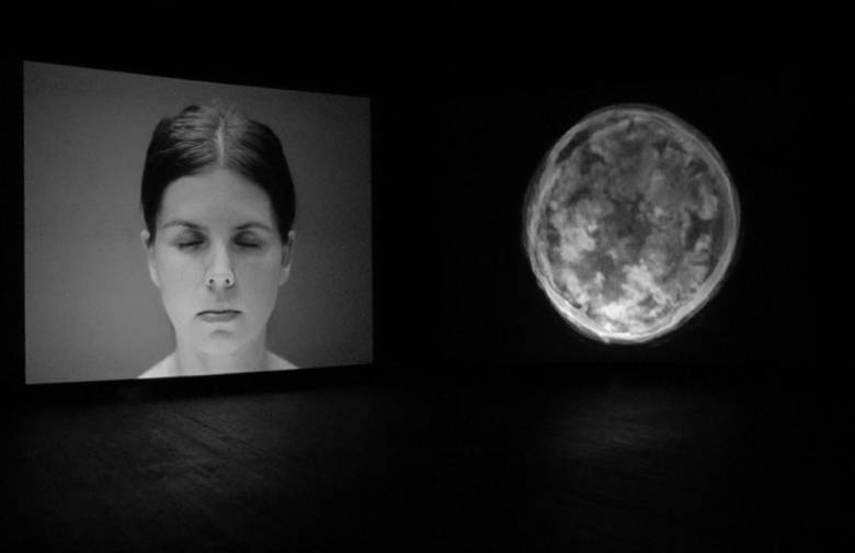 exhibition, interactive art installation, artist, gallery, 