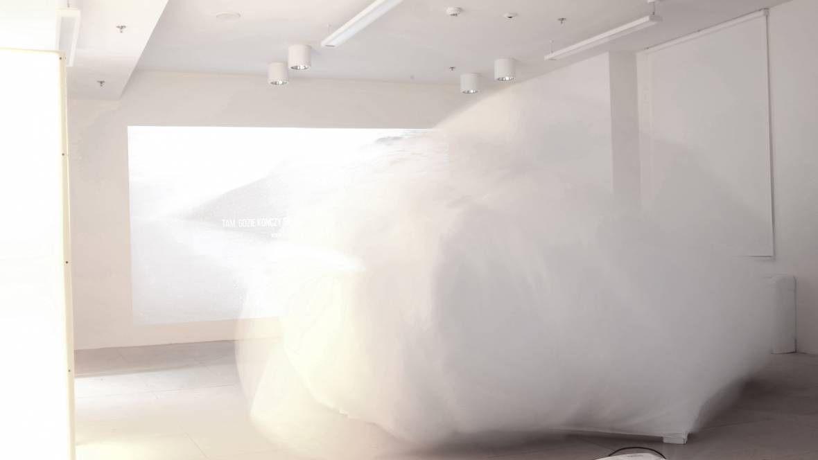 exhibition, interactive art installation, artist, gallery, 