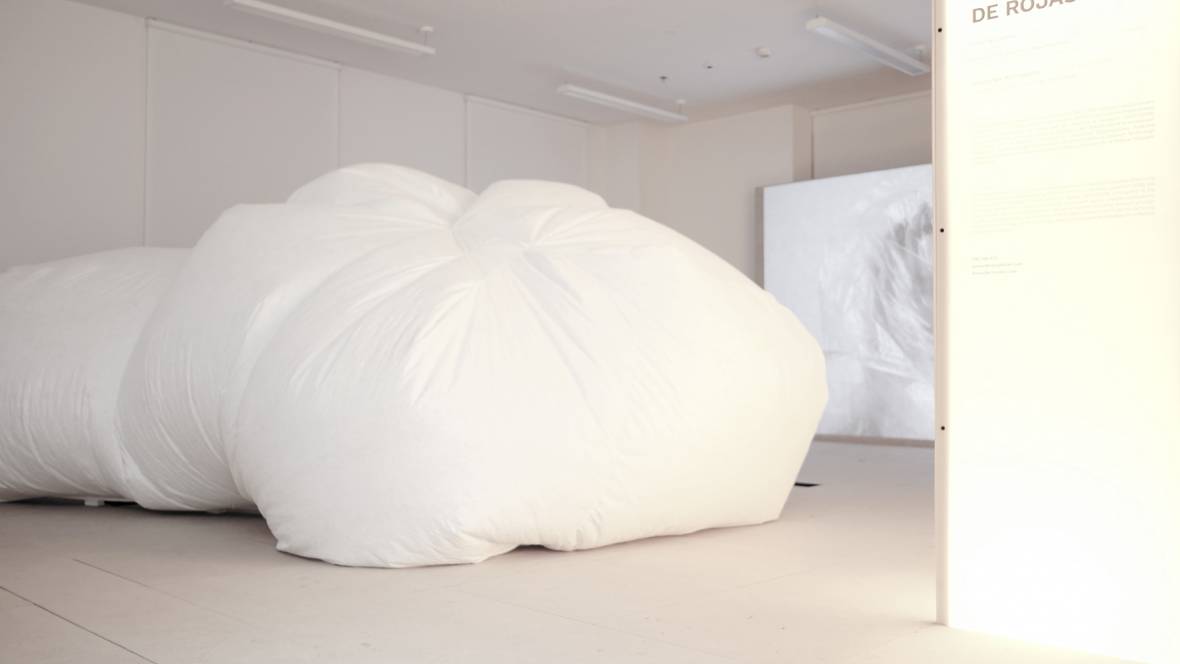 exhibition, interactive art installation, artist, gallery,