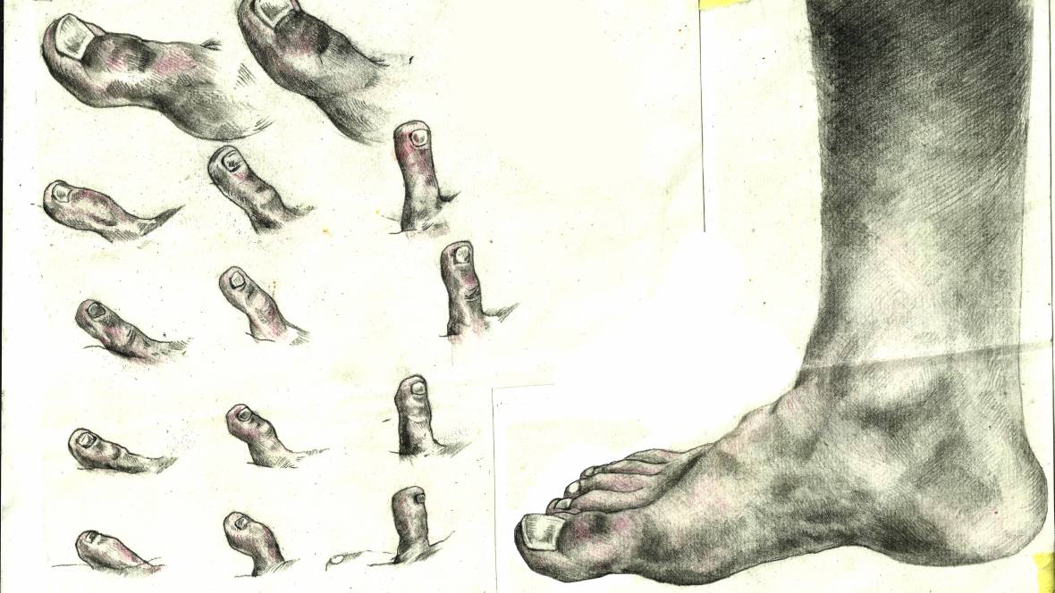 animation, artist, art, gallery