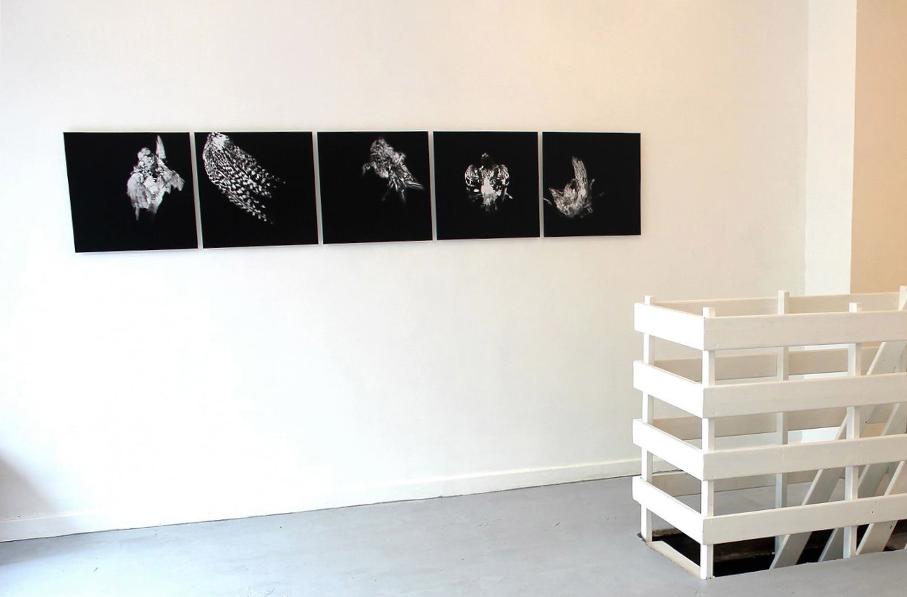 Galleri kunst - Udstilling af kunstfotografi sort hvid fotografi monteret på dibon plade